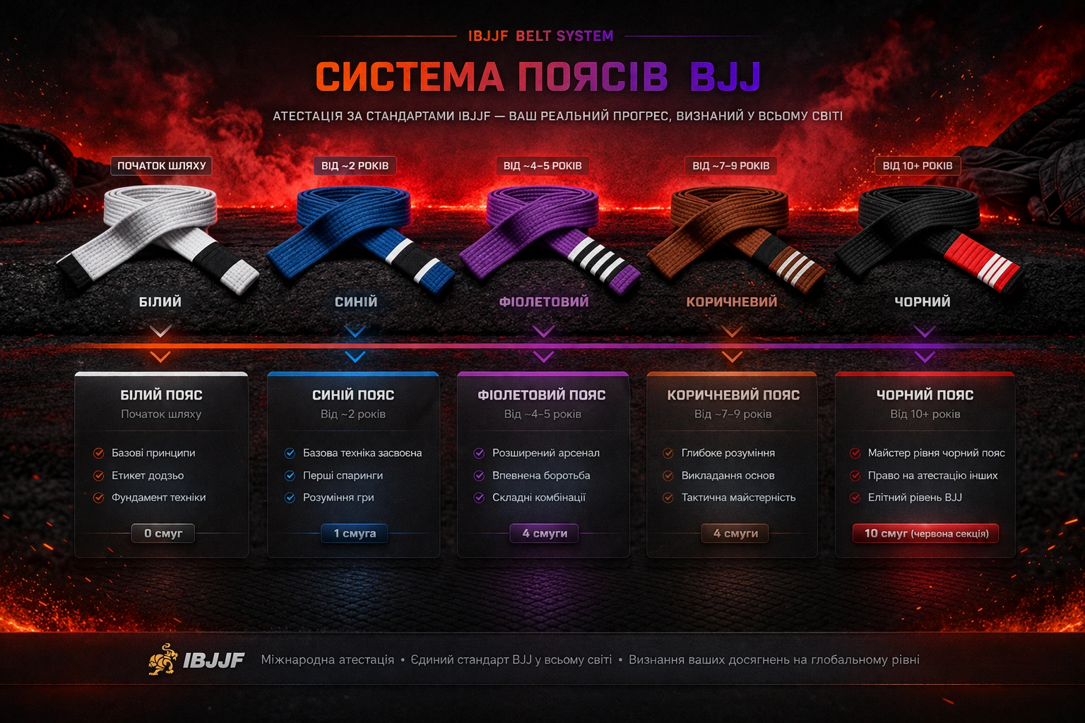 IBJJF система поясів BJJ